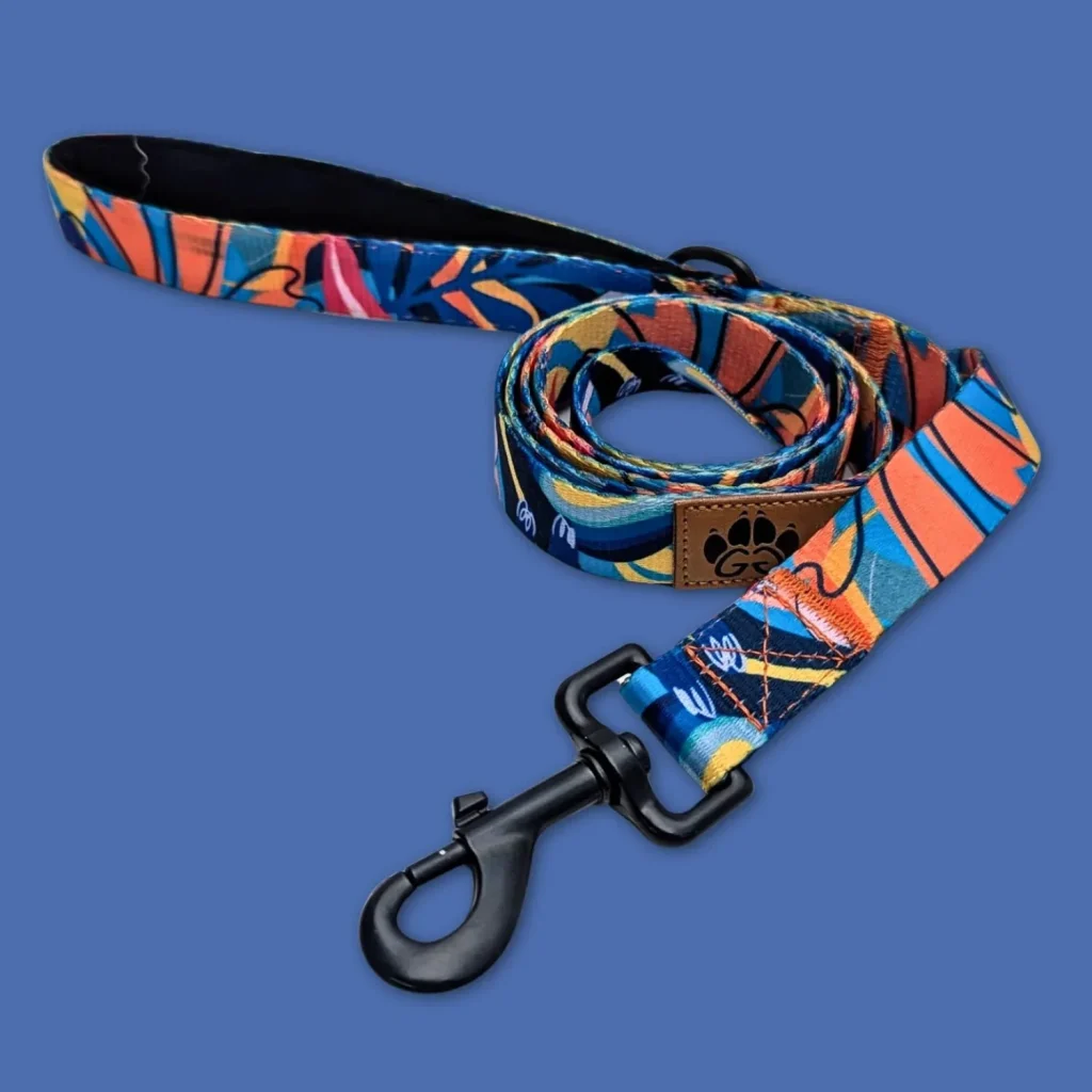 laisse pour chien